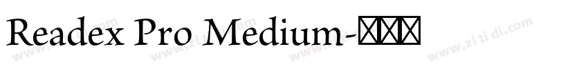 Readex Pro Medium字体转换